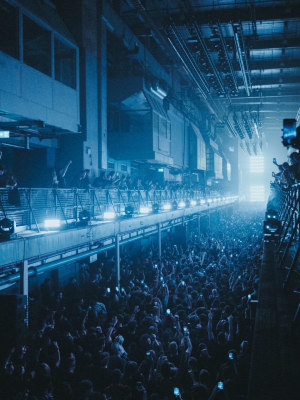 Large concert crowd at live event - Dmaaya Events